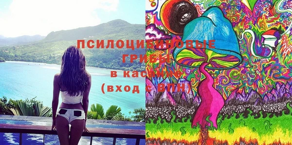 винт Абаза