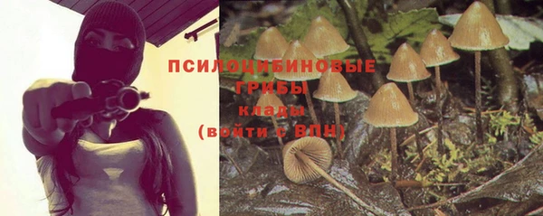 винт Абаза