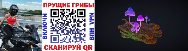 ссылка на мегу рабочий сайт  Ртищево  Галлюциногенные грибы ЛСД  сколько стоит 