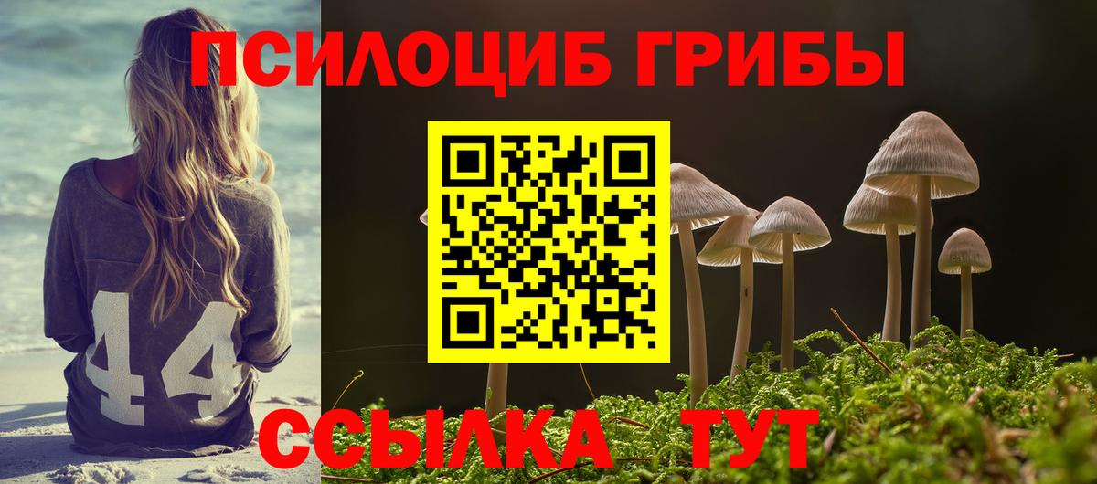 продажа наркотиков  Вход с VPN  Псилоцибиновые грибы Magic Shrooms  Ртищево  Галлюциногенные грибы Cubensis 